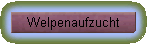 Welpenaufzucht