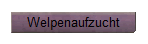 Welpenaufzucht