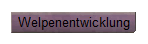 Welpenentwicklung