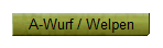 A-Wurf / Welpen