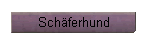 Schferhund