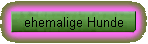 ehemalige Hunde