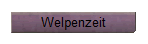 Welpenzeit